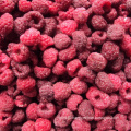 IQF Frozen Raspberry Fruit